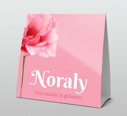 Trendy en modern met roze roos