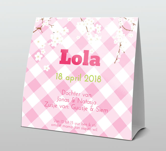 Witte bloesem met lichtgroen en roze Witte bloesem met lichtgroen en roze