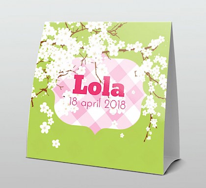 Witte bloesem met lichtgroen en roze