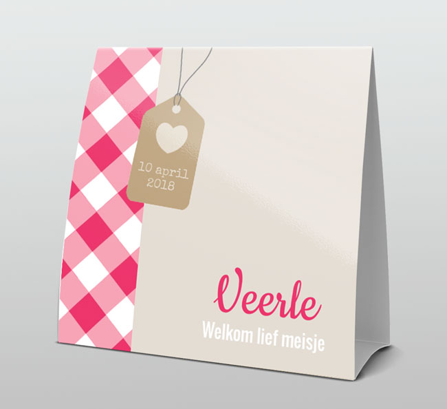 Hip met roze ruit en labeltje Hip met roze ruit en labeltje