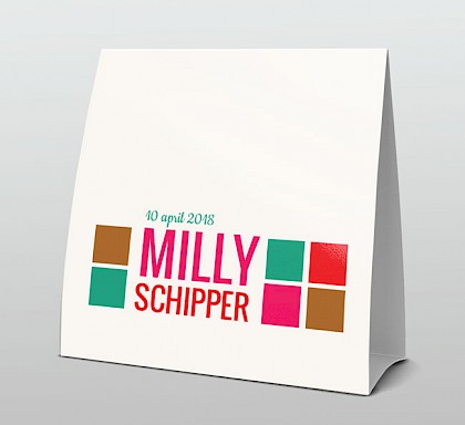 Stoere kleurtjes met blokjes