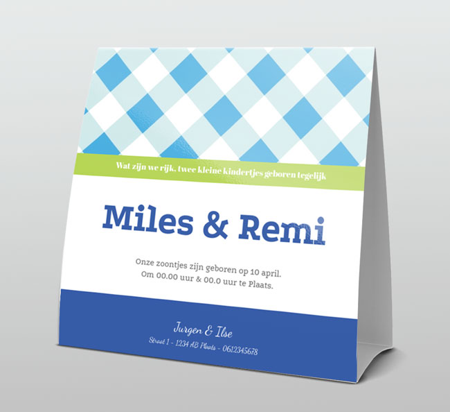 Tweeling geboortekaartje blauwe ruit Tweeling geboortekaartje blauwe ruit