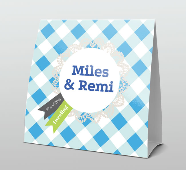 Tweeling geboortekaartje blauwe ruit Tweeling geboortekaartje blauwe ruit