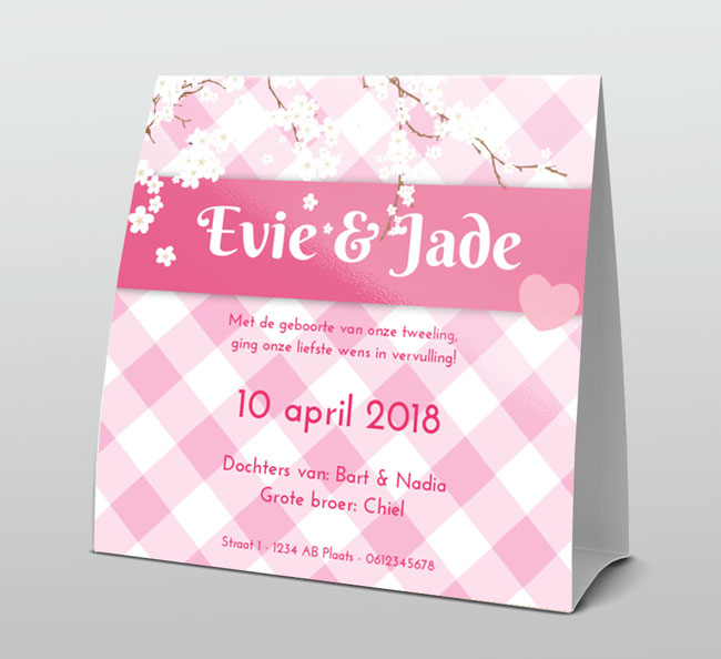 Tweeling meisjes roze met witte bloesem Tweeling meisjes roze met witte bloesem
