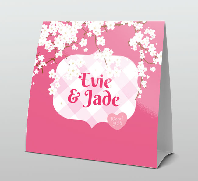 Tweeling meisjes roze met witte bloesem Tweeling meisjes roze met witte bloesem