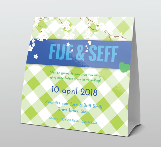 Tweeling jongens blauw witte bloesem Tweeling jongens blauw witte bloesem