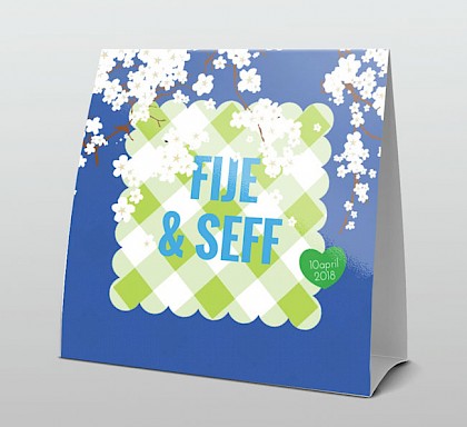 Tweeling jongens blauw witte bloesem Tweeling jongens blauw witte bloesem