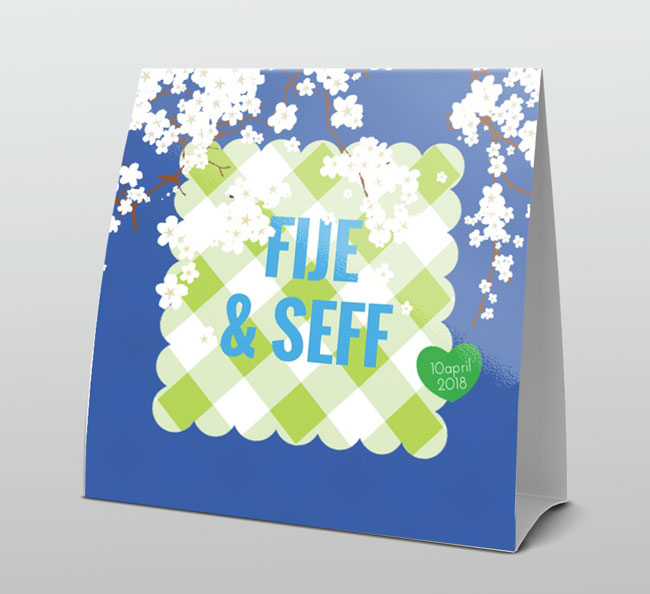 Tweeling jongens blauw witte bloesem Tweeling jongens blauw witte bloesem