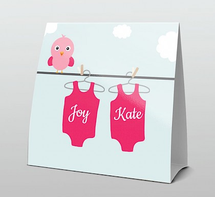 Tweeling voor twee meisjes Tweeling voor twee meisjes