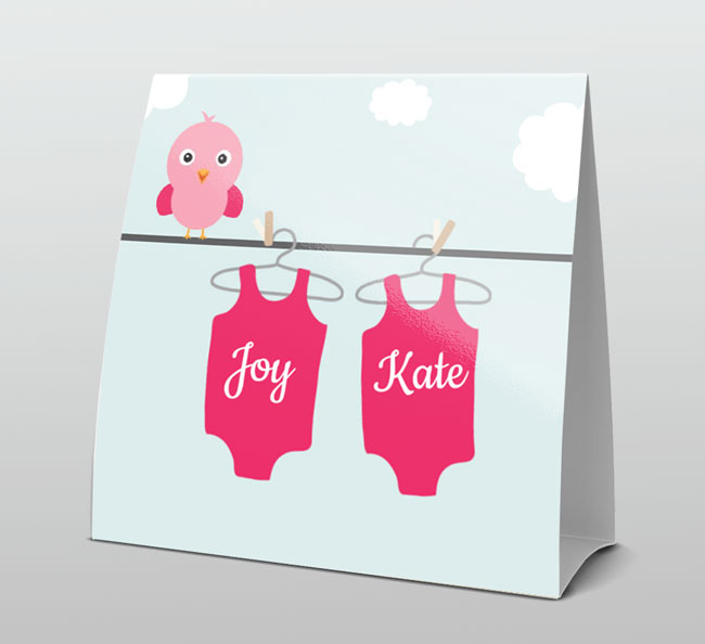 Tweeling voor twee meisjes Tweeling voor twee meisjes