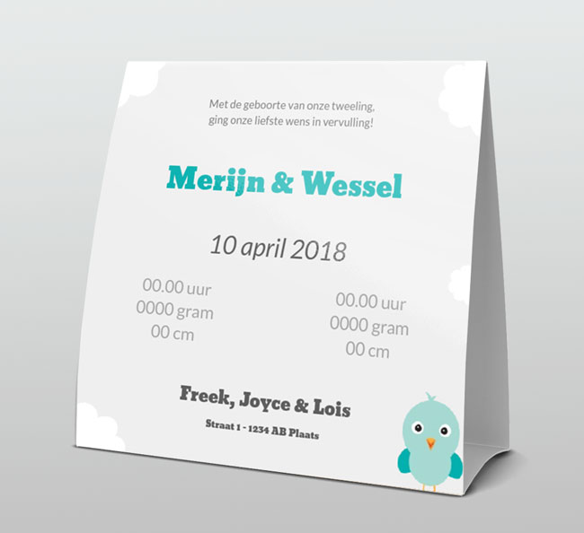 Tweeling jongetjes blauwe rompertjes Tweeling jongetjes blauwe rompertjes