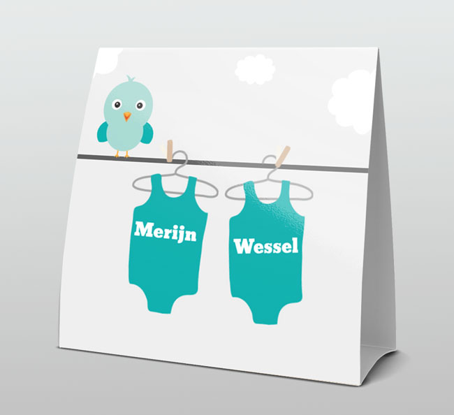 Tweeling jongetjes blauwe rompertjes Tweeling jongetjes blauwe rompertjes