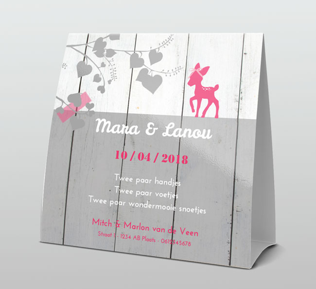 Tweeling meisjes op hout met hertje Tweeling meisjes op hout met hertje