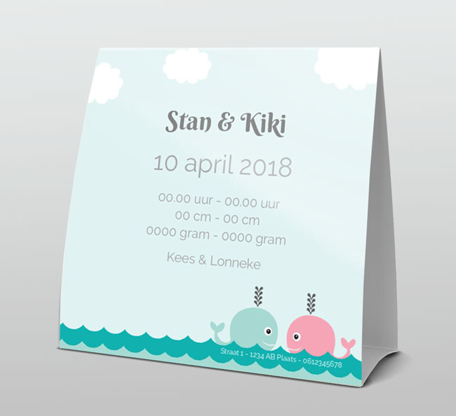 Tweeling jongen meisje, twee walvisjes Tweeling jongen meisje, twee walvisjes