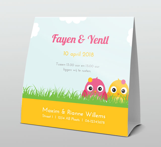 Tweeling meisje met twee lieve vogeltjes Tweeling meisje met twee lieve vogeltjes