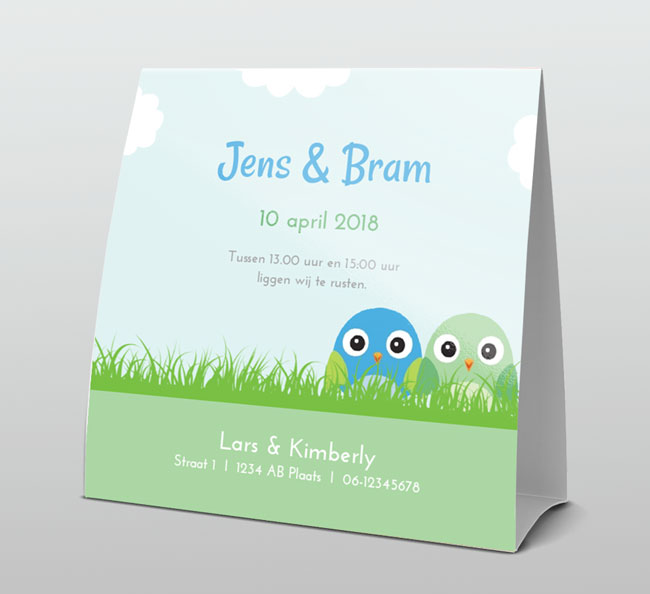 Tweeling voor jongetjes met vogeltjes Tweeling voor jongetjes met vogeltjes