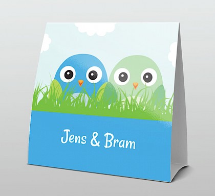 Tweeling voor jongetjes met vogeltjes