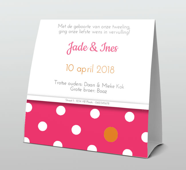 Tweeling meisjes roze en hout Tweeling meisjes roze en hout