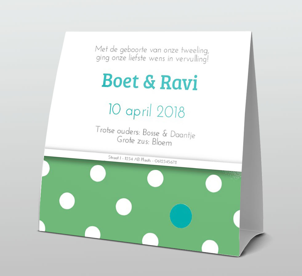 Tweeling jongetjes groen en hout Tweeling jongetjes groen en hout