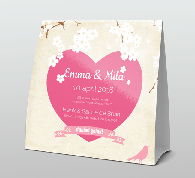 Tweeling witte bloesem en roze hart Tweeling witte bloesem en roze hart