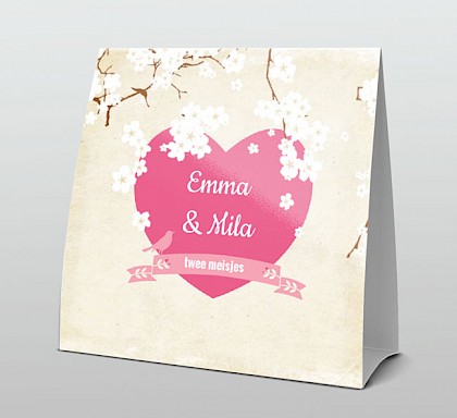 Tweeling witte bloesem en roze hart