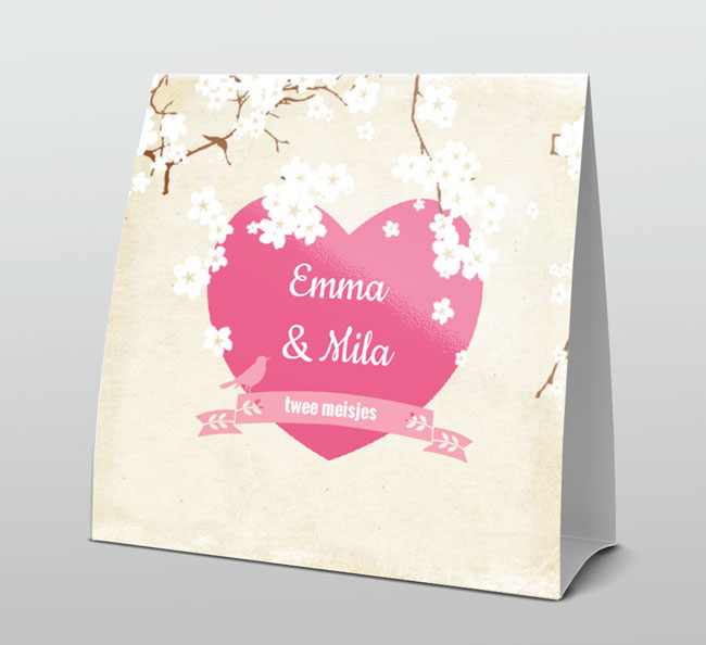 Tweeling witte bloesem en roze hart Tweeling witte bloesem en roze hart