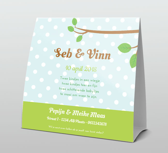 Tweeling jongetjes met blauwe vogeltjes Tweeling jongetjes met blauwe vogeltjes