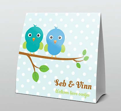Tweeling jongetjes met blauwe vogeltjes Tweeling jongetjes met blauwe vogeltjes
