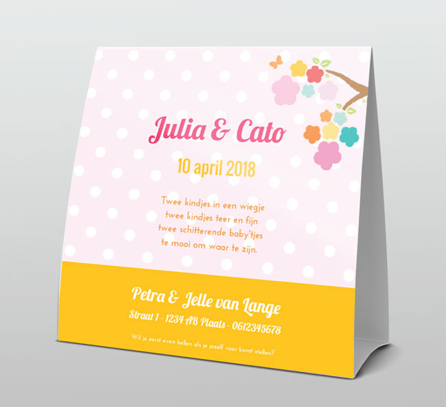 Tweeling voor meisjes met vogeltjes Tweeling voor meisjes met vogeltjes