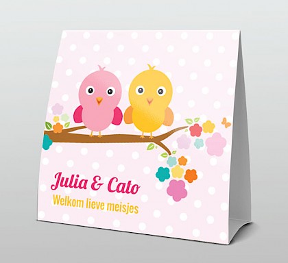 Tweeling voor meisjes met vogeltjes Tweeling voor meisjes met vogeltjes