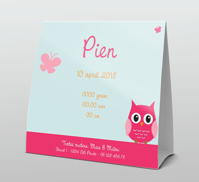 Lief roze uiltje, vlinder en hartjes takje Lief roze uiltje, vlinder en hartjes takje