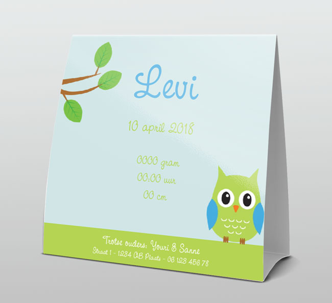 Lief groen uiltje op blauwe achtergrond Lief groen uiltje op blauwe achtergrond