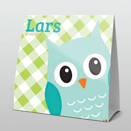 Blauwe uil met hippe kleuren