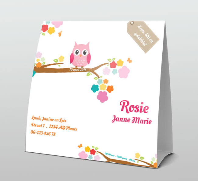 Roze uiltje en gekleurde bloemetjes Roze uiltje en gekleurde bloemetjes