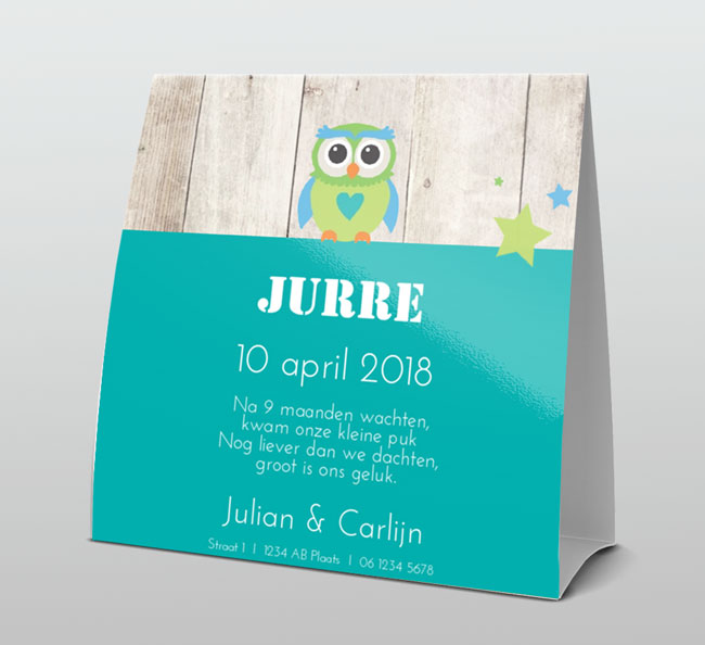 Stoer uiltje op hout met turquoise stempel Stoer uiltje op hout met turquoise stempel