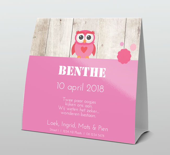 Stoer uiltje op hout met roze stempel Stoer uiltje op hout met roze stempel