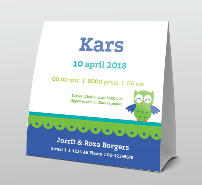 Groen met blauw vrolijk uiltje Groen met blauw vrolijk uiltje