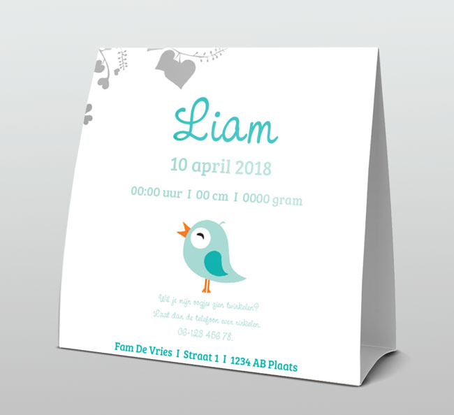 Turquoise vogeltje grijs met hartjestakje Turquoise vogeltje grijs met hartjestakje