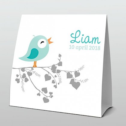 Turquoise vogeltje grijs met hartjestakje