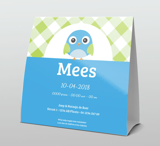 Hip blauw vogeltje met groen ruitje Hip blauw vogeltje met groen ruitje