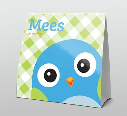 Hip blauw vogeltje met groen ruitje