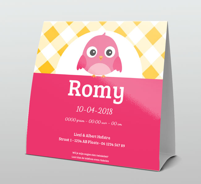 Roze vogeltje met geel ruitje Roze vogeltje met geel ruitje