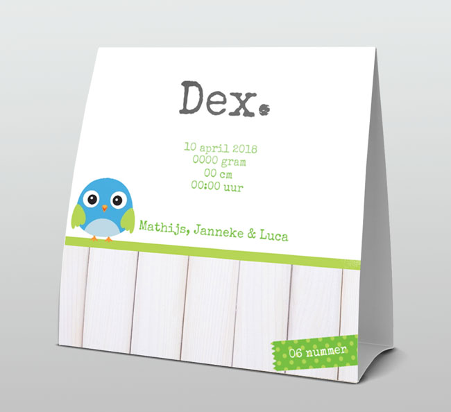 Tentkaart geboorte met blauw vogeltje op groen lintje met hout Tentkaart geboorte met blauw vogeltje op groen lintje met hout