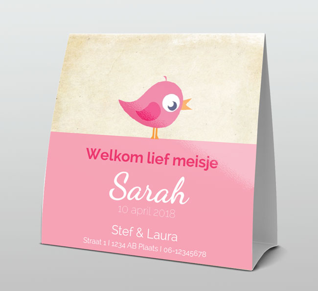 Roze vogeltje op oud papier Roze vogeltje op oud papier