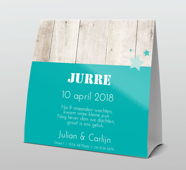 Stoer vogeltje op hout met turquoise tekst Stoer vogeltje op hout met turquoise tekst