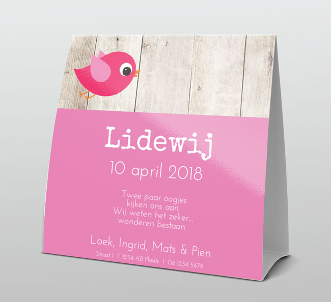 Stoer vogeltje op hout met roze tekst Stoer vogeltje op hout met roze tekst