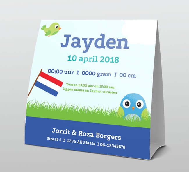 Blauw vogeltje met Nederlandse vlag Blauw vogeltje met Nederlandse vlag