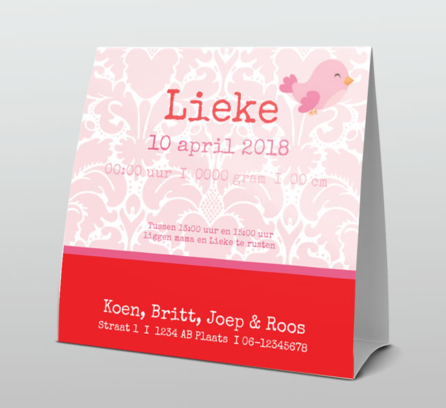 Lief roze met rood vrolijk vogeltje Lief roze met rood vrolijk vogeltje