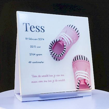 Geboortetegeltje "Roze schoentjes" Geboortetegeltje "Roze schoentjes"