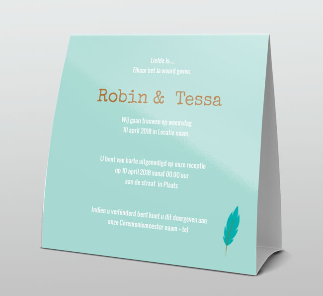 Trendy huwelijk tentkaart en vrolijk met veertje Trendy huwelijk tentkaart en vrolijk met veertje